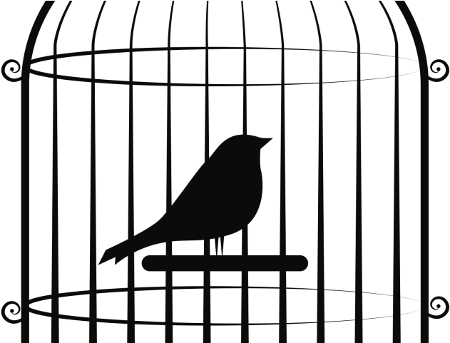 Cage Clipart Bird's - Birdcage Clipart Png (640x480)