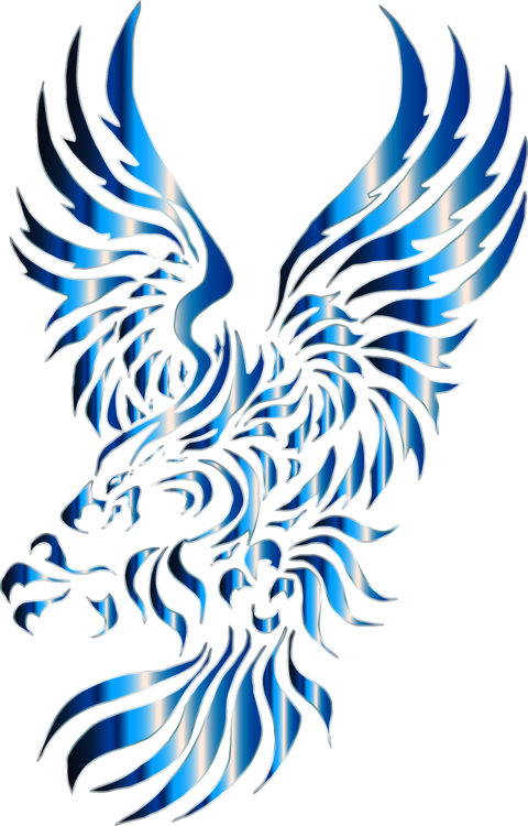 Bald Eagle Drawing Bird Tattoo - Tribal Bald Eagle Tattoos (480x750)