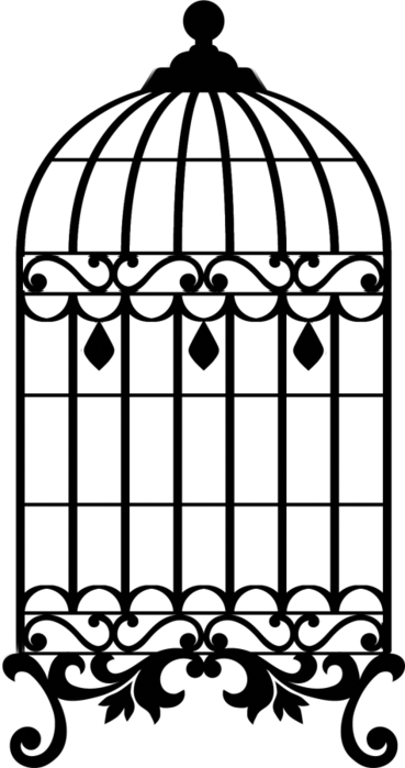 Cage Bird Png - Gaiola Silhueta (369x699)