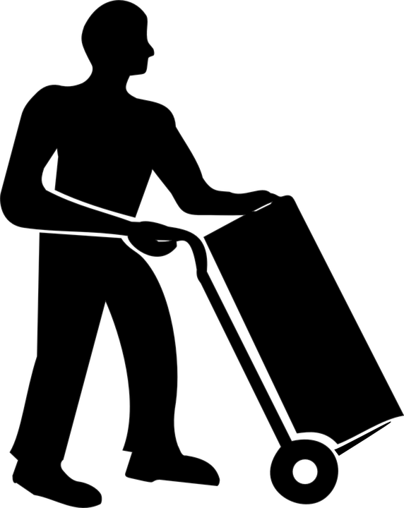 Themes For Beginners Of Brazilian - Vector De Paqueteria (572x720)