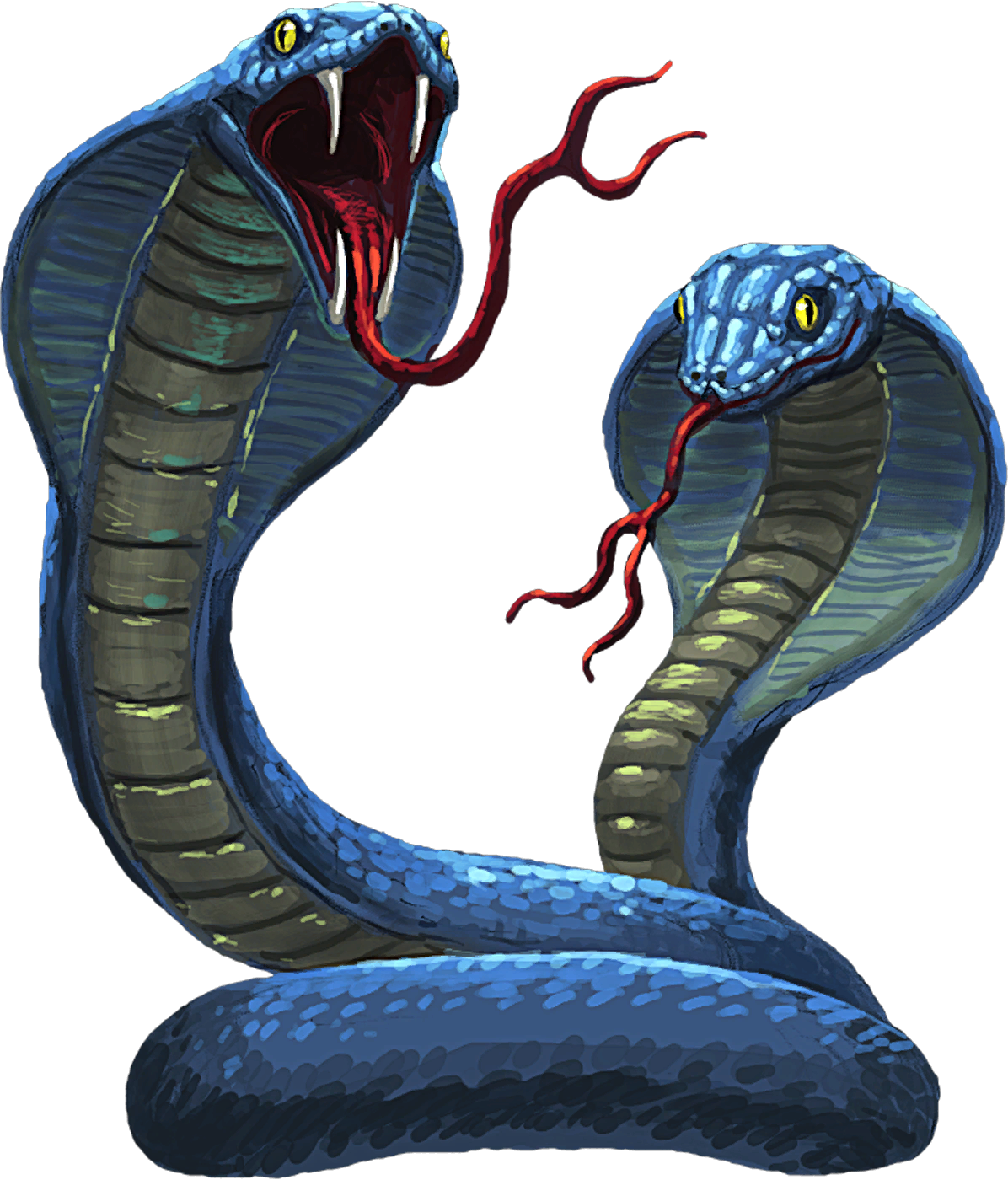 Cobra Png - Cobras En Png (1196x1400)
