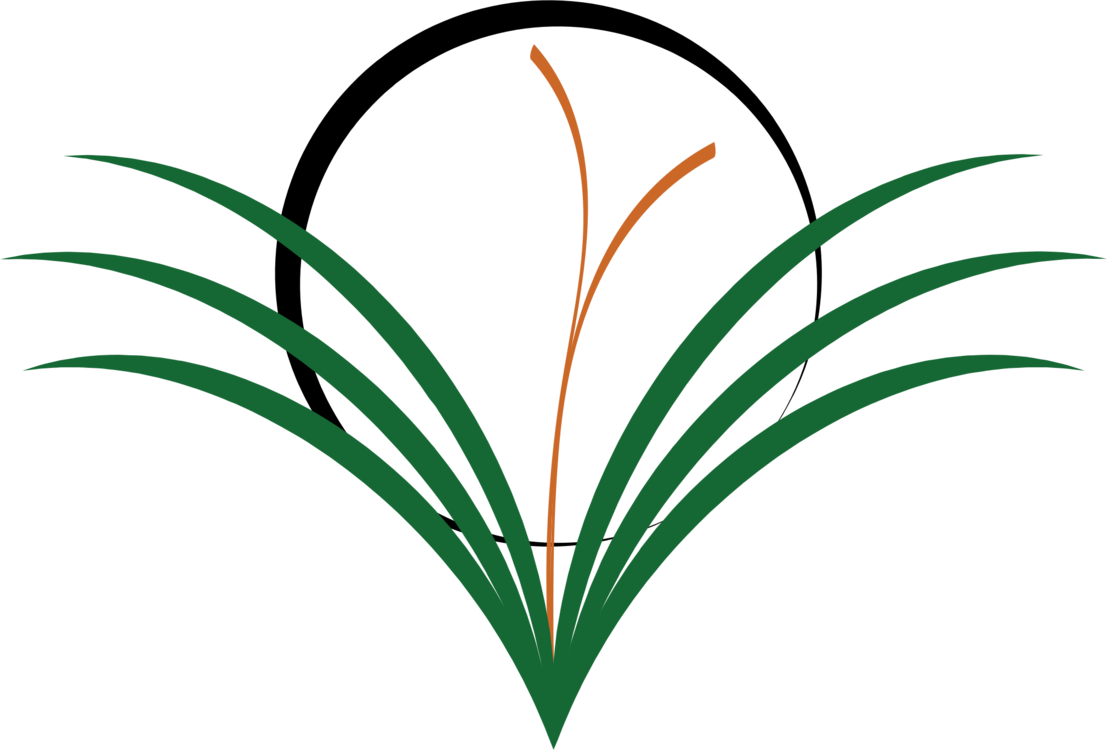 Drawing Weed Lawn Computer Icons String Trimmer - Weedsclipart (1107x750)