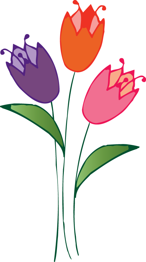 Radio Chart Are Now On The Wall Outside The Office - Tulipa Humilis (469x837)