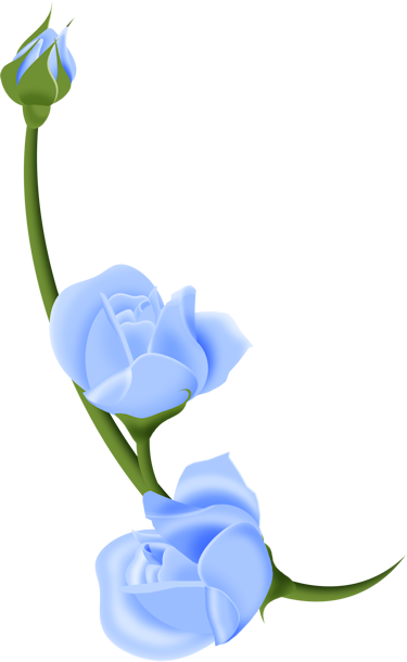 Фотки Friendship Flowers, Flower Clipart, Flower Art, - Garden Roses (375x610)
