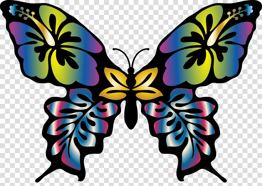 Download Insect Brush-footed Butterflies Monarch Butterfly - Tropical Flower Winged Butterfly Beach Towel (900x640)