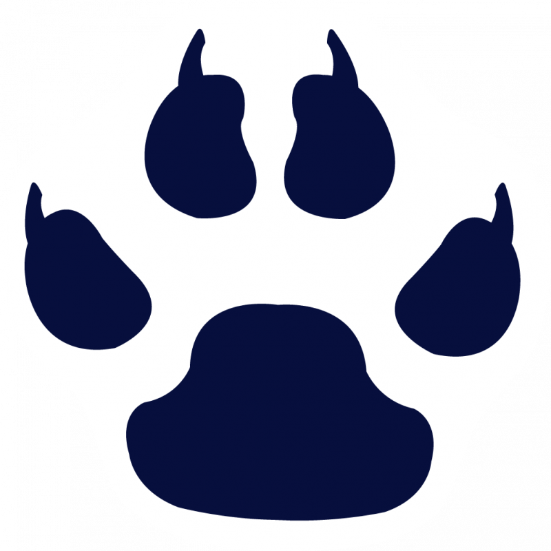 Free Download Paw Print Clip Art Clipart Tiger Dog - Dog Foot Print Logo (800x800)