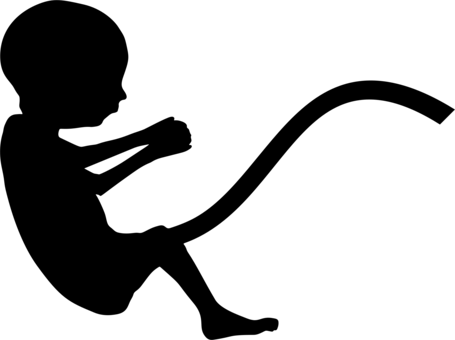 Fetus Silhouette Pregnancy Infant Uterus - Fetus Silhouette Png (455x340)