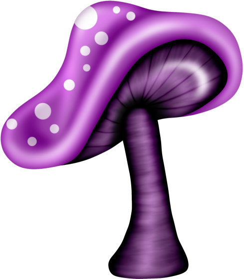 ‿✿⁀shrooms‿✿⁀ Mushroom Art, Fairy Houses, Stuffed Mushrooms, - Mushroom (600x600)