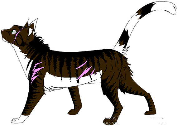 Friendly And Very Energetic - Black Cat With Red Eyes Full Body (600x415)