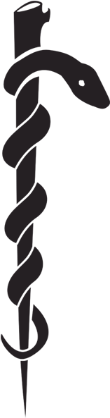 Medical Symbol With One Snake - Medicine Logo One Snake (600x600)