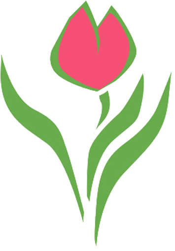 Our Medical Team - Institute For Women's Health (512x512)