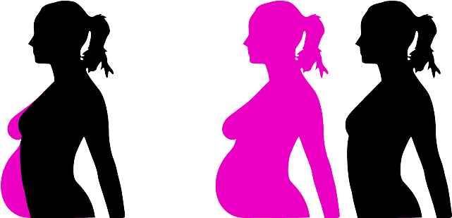 Gynecology - Pregnant Clip Art (640x320)