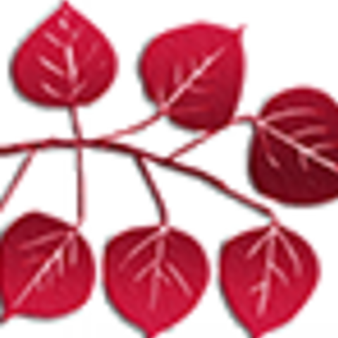 South Denver Ob-gyn & Midwives (480x480)