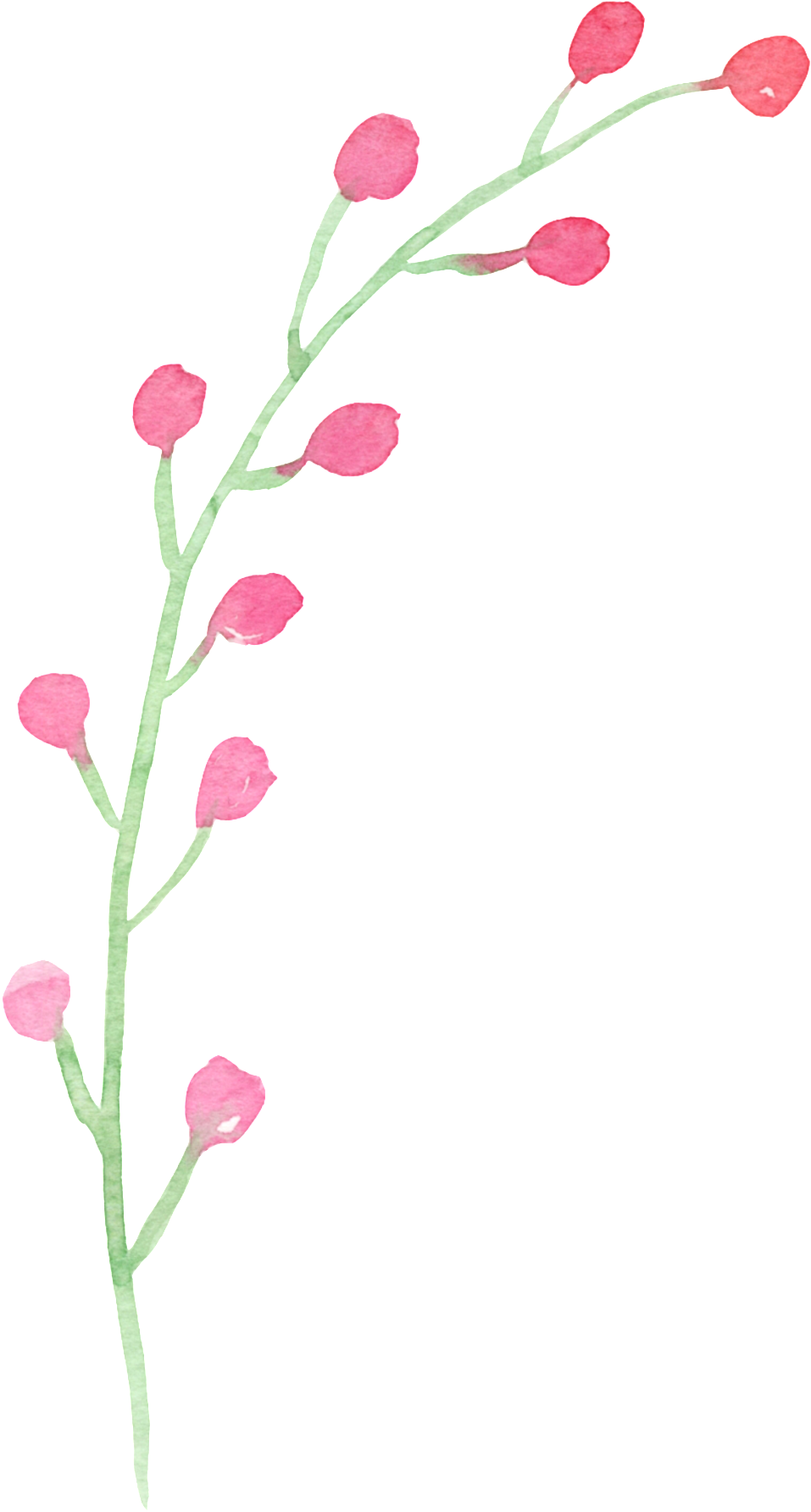 Japanese And Korean Style Cartoon Transparent - Cartoon (1024x1792)