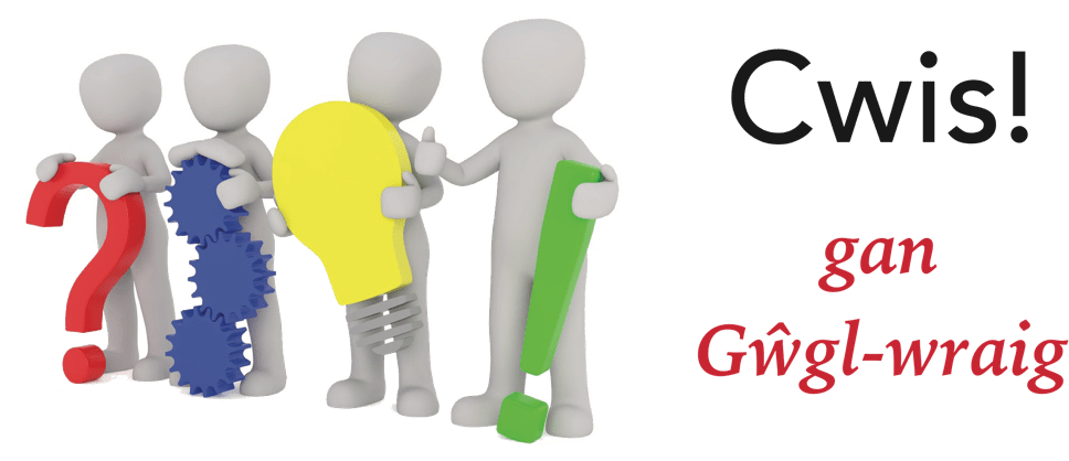 Cwis Gan Gŵgl-wraig - J Aime Le Francais (1020x417)