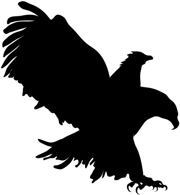 Design Iphone 6/6s Slim Case (960x680)