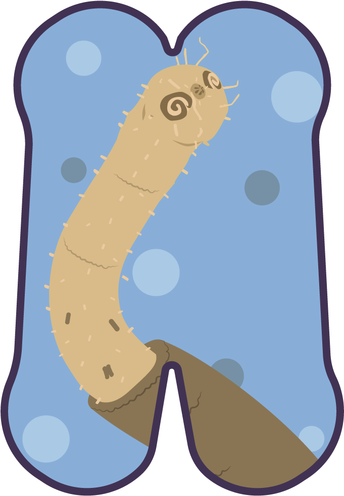 Picket Fence, To Stay On The Worm They Had To Adapt - Picket Fence, To Stay On The Worm They Had To Adapt (798x1070)