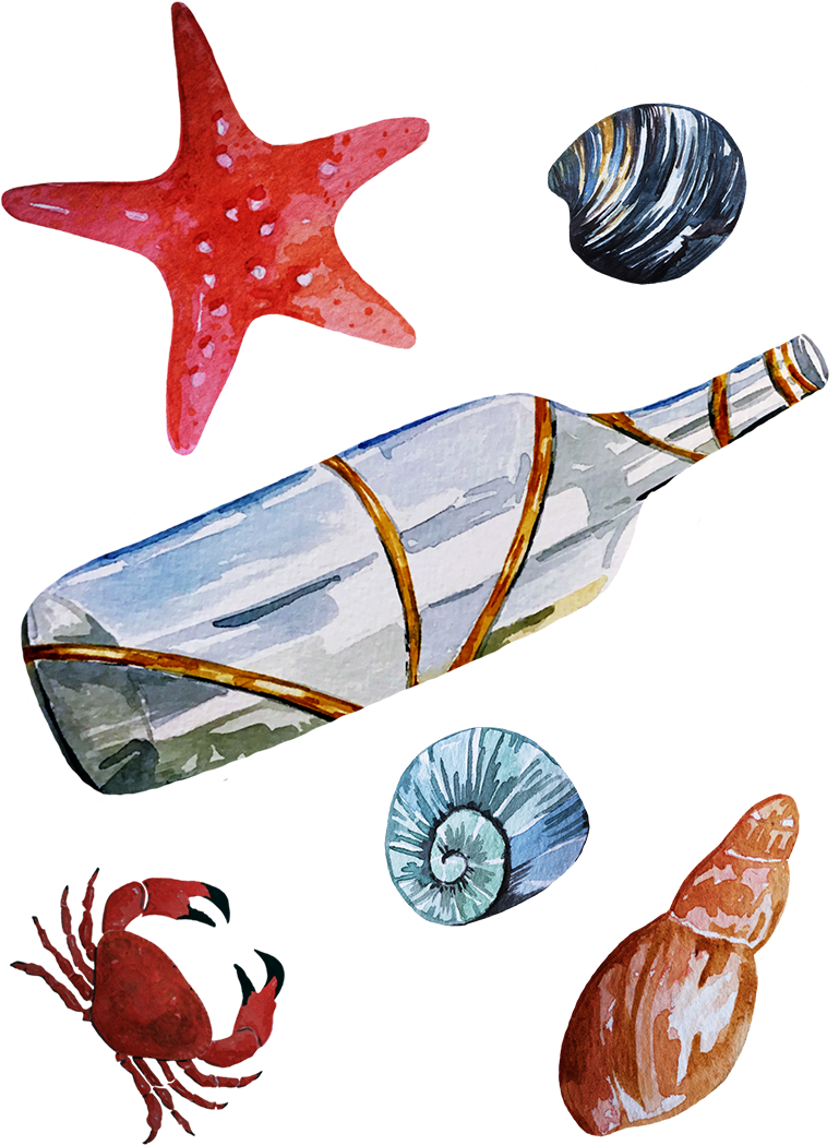 Seaside Illustration Maritime Illustration Seashells - Starfish (800x1132)