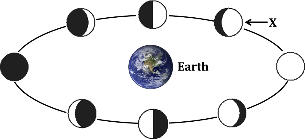 Nso Olympiad Sof Class Earth And Questions - Phases Of The Moon Question (1019x465)