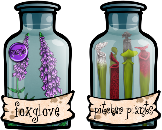 Each Plant Comes In Three Types - Glass Bottle (586x484)
