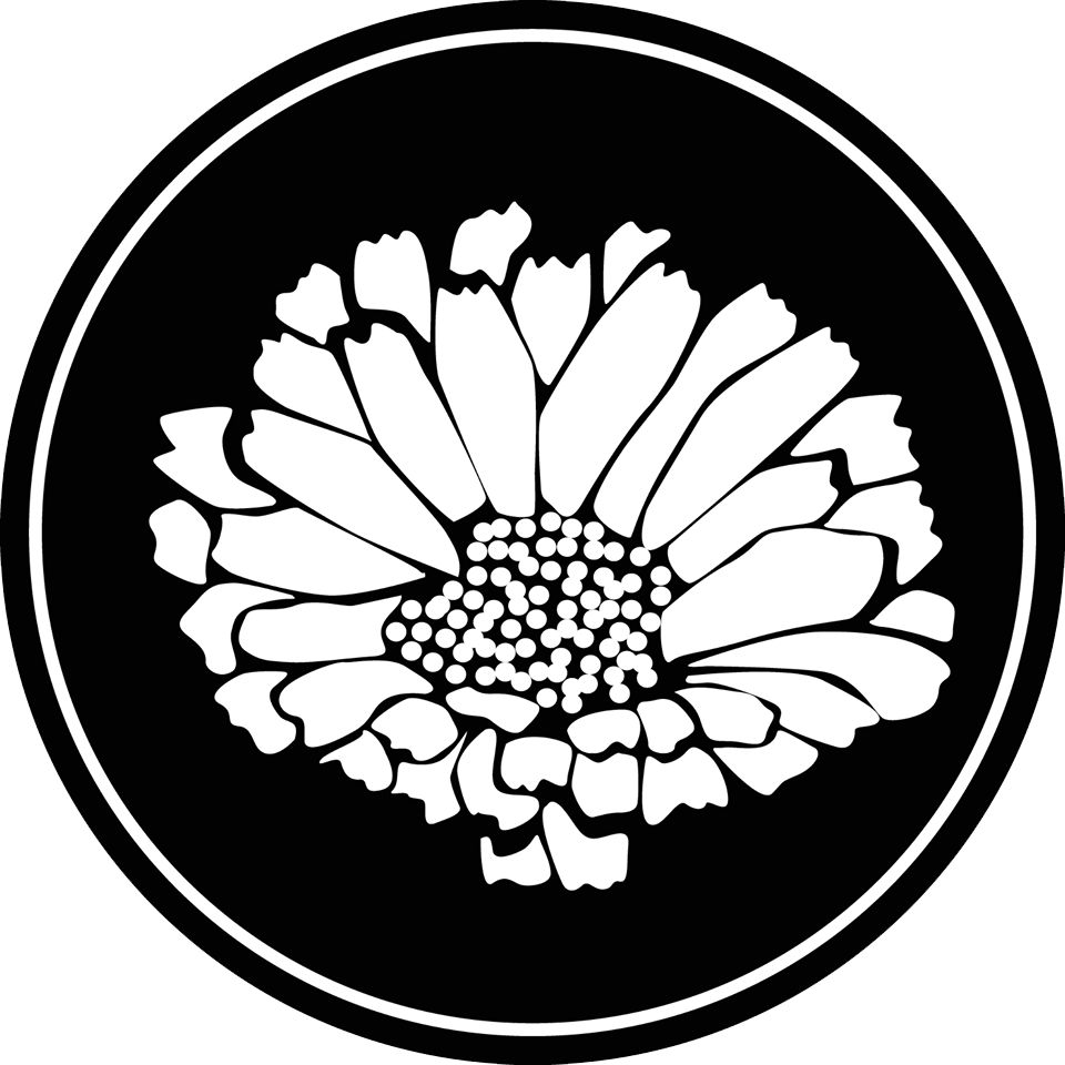 Pridhams Apothecary - Common Zinnia (960x960)