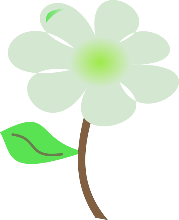 All Photo Png Clipart - Flower (608x750)