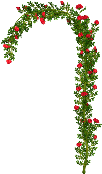 Arch Clipart Flower Arch - Rose Arch Png (364x600)