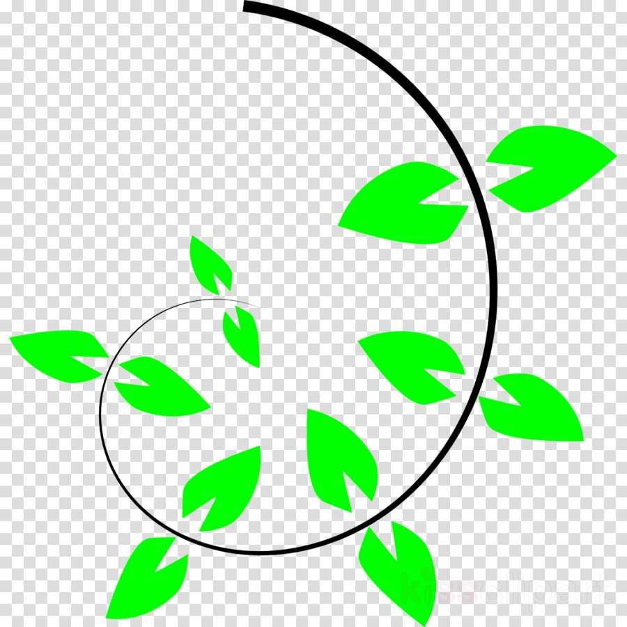 Climber Plant Clipart Vine Clip Art - Climber Plant Clipart (900x900)