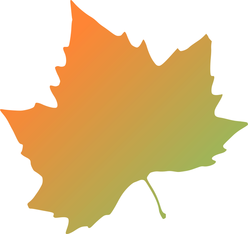 Free Plane Tree Autumn Leaf - Autumn Leaves Clip Art (800x754)