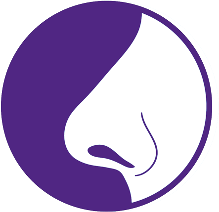 Nose Clairsalient Icon - Five Senses Clipart (500x485)