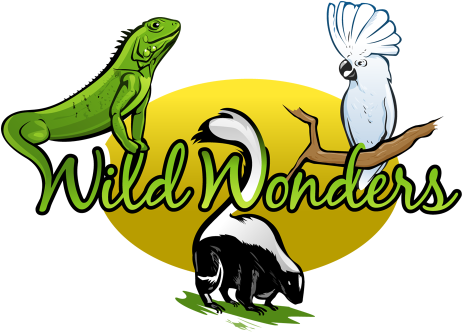 Logo - Wild Wonders Animal Show (1000x731)
