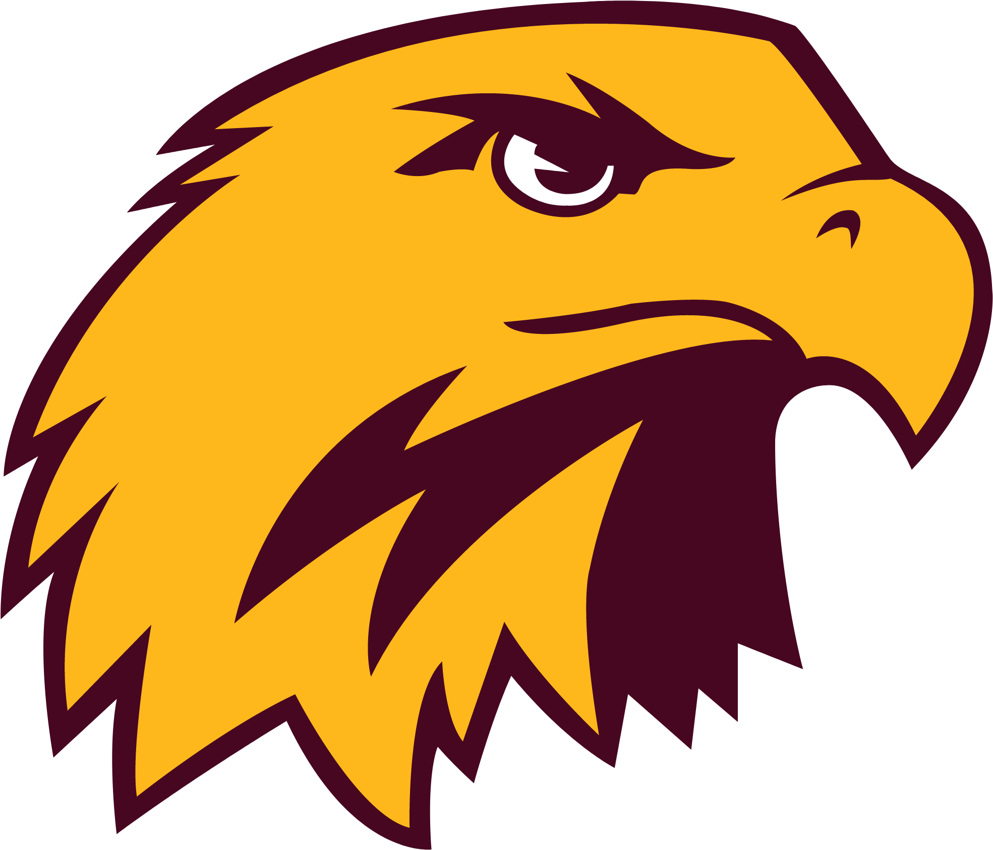 Hartley Melvin Sanborn Hawks (2048x2048)