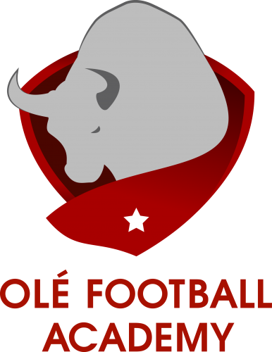 Just Some Of The Player Highlights Who Have Progressed - Ole Football Academy (386x500)