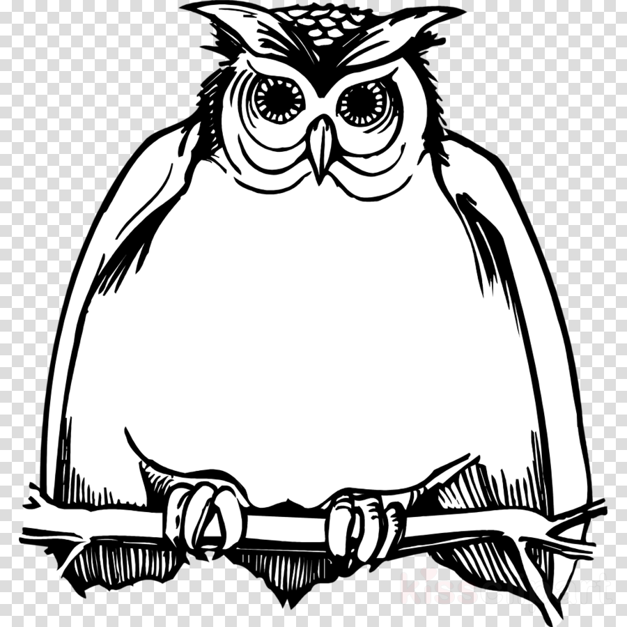 Download Owl Black And White Png Clipart Great Horned - Harry Potter Birthdays Owl (900x900)