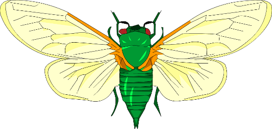 This Page Contains The Following Errors - Net-winged Insects (549x260)