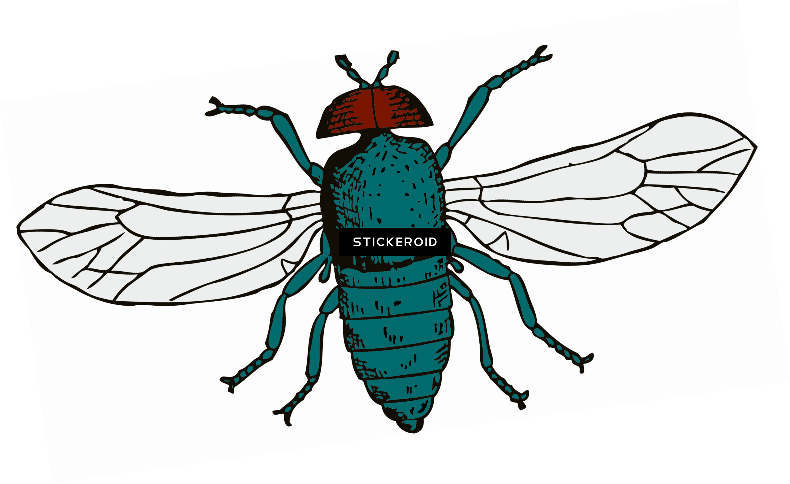 Fly - Cartoon Fly Shower Curtain (2548x1563)