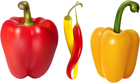 Bell Pepper, Fruits And Vegetables, Clip Art, Embellishments, - Pepper Vector (500x304)