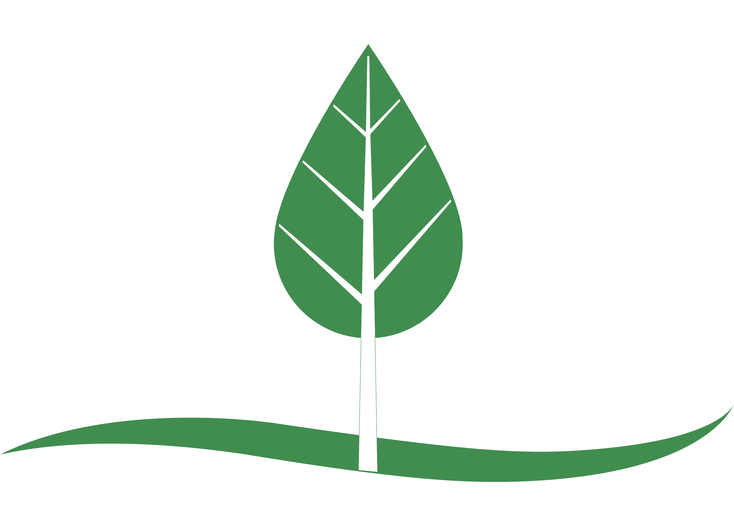 5 Cancer-fighting Ingredients You Should Put In Your - Prostate (2419x1706)