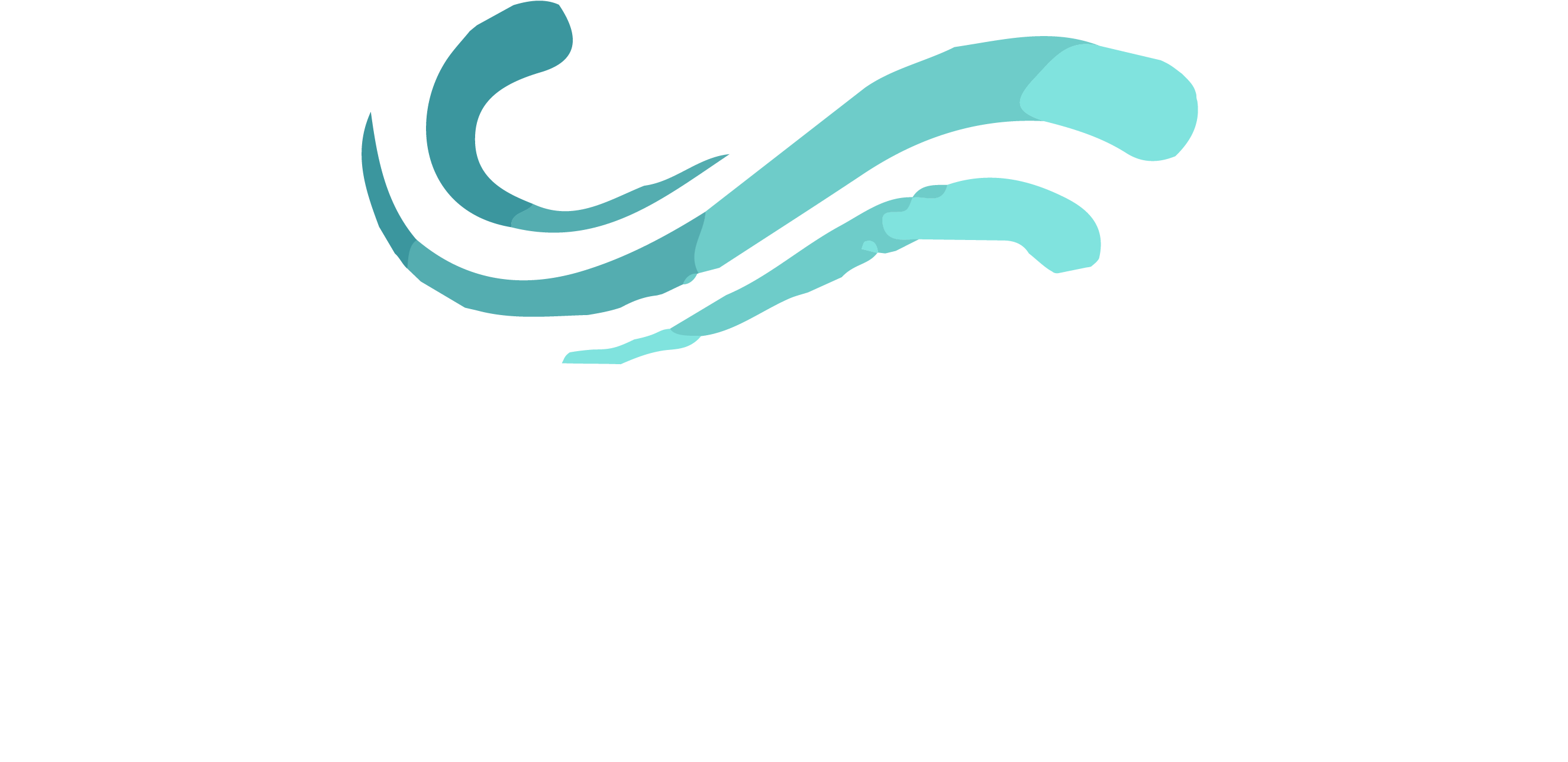 New Life Christian Church Logo - Calligraphy (5333x2500)