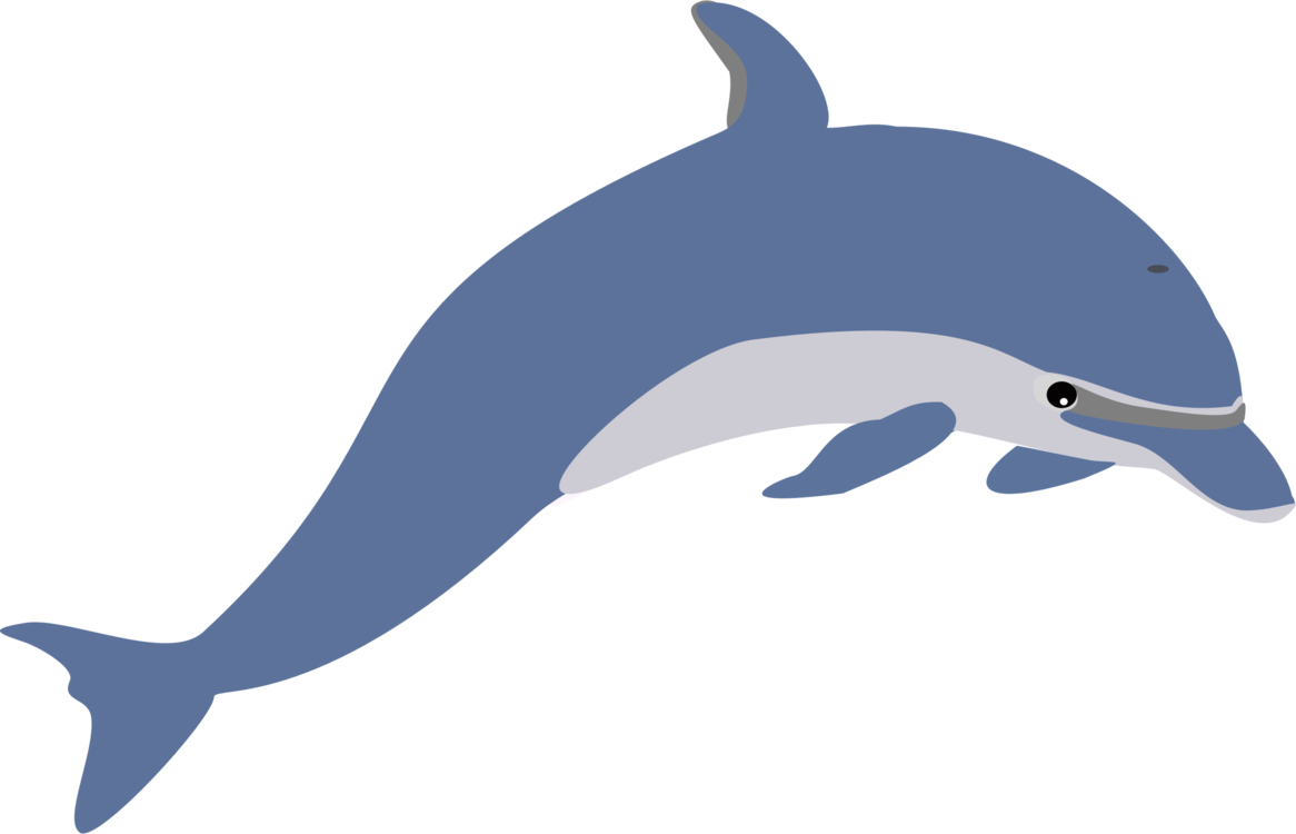 Common Bottlenose Dolphin Spinner Dolphin River Dolphin - Clipart Dolphin (1166x750)