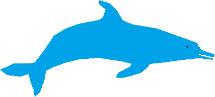 Common Bottlenose Dolphin Computer Icons Tucuxi Whales, - Dolphin (753x340)