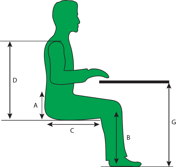 Seating Assessment Online Ergonomics A Height Of - Ergonomics Png (600x571)