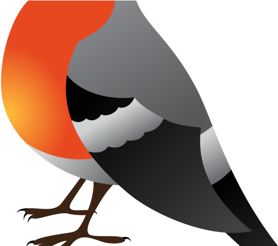 Snipers Clipart Bird - Птица Клипарт (640x480)