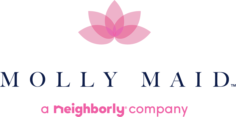 Ayuda Para Limpieza / Limpiadora Profesional - Mr Appliance (1000x496)