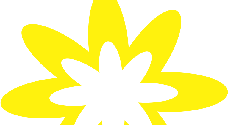 Lesser Celandine (800x420)
