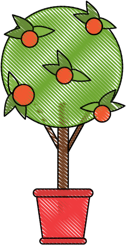 Orange Tree In Bucket - Cartoon (550x550)