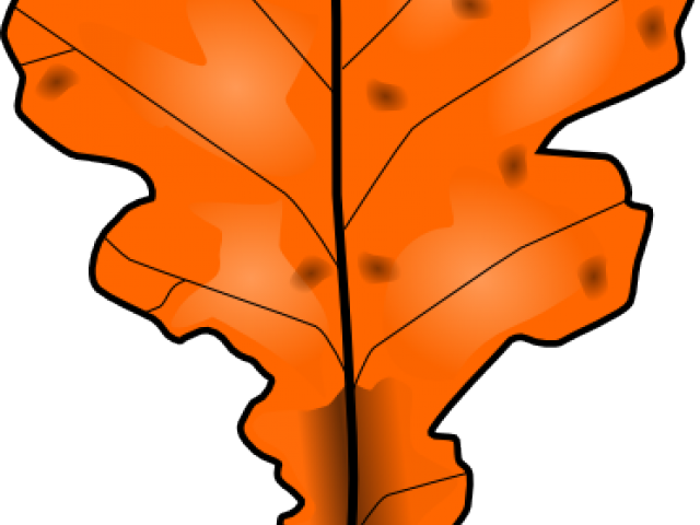 Leaves Clipart Orange Tree - Dead Leaf Clipart (640x480)
