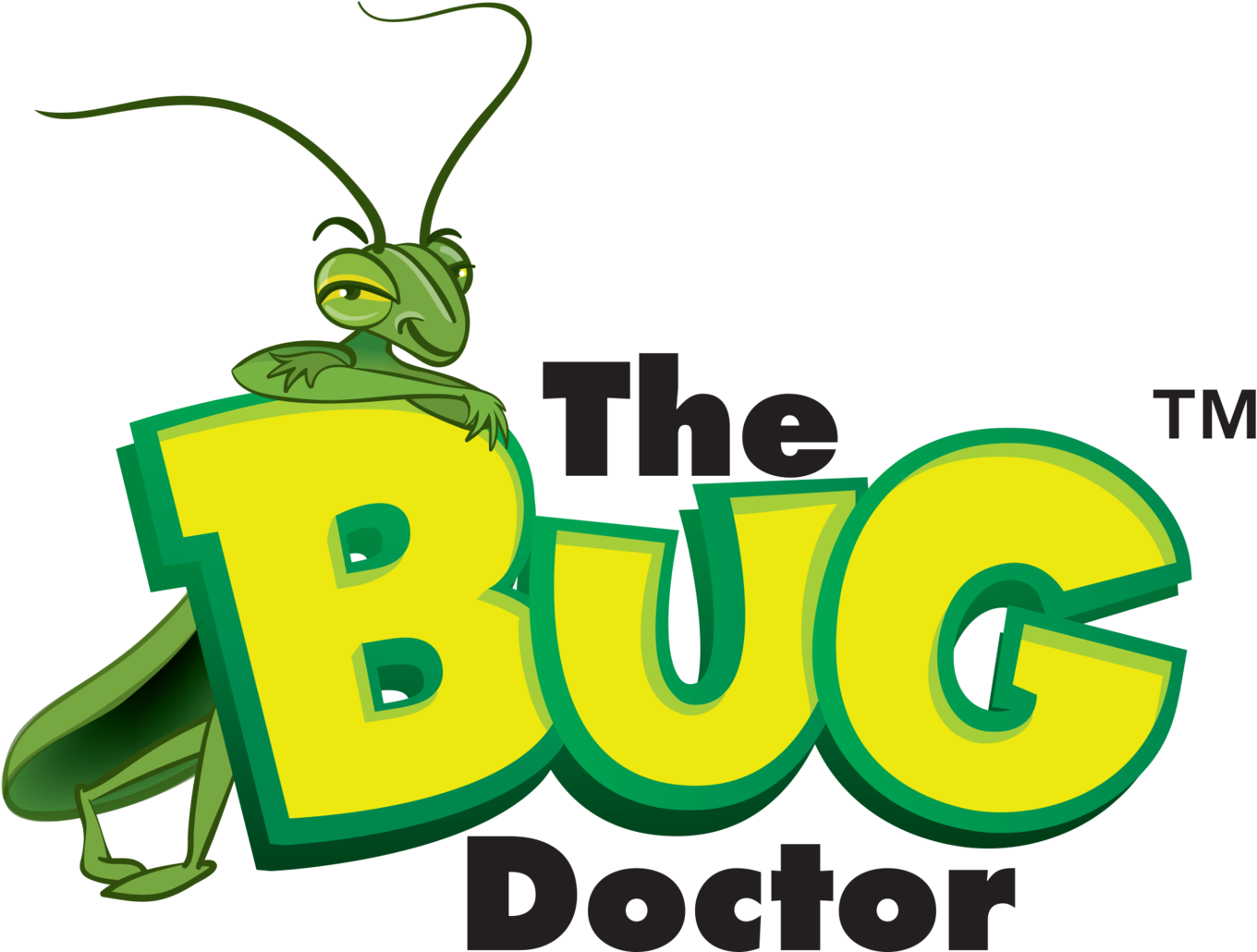 Funnel Ruining Your Lawn The Bug Doctor - Bug Doctor (1500x1036)