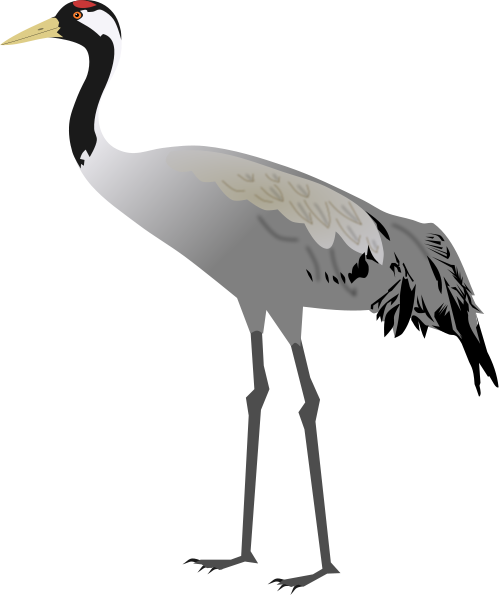 Png Free Stock Birds Svg Crane - Sandhill Crane Clipart (499x595)