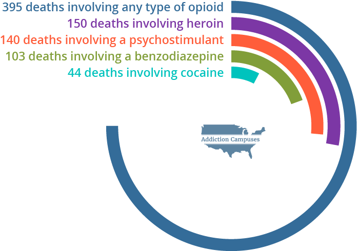 Com Minnesota Deaths - Addiction Campuses (730x508)